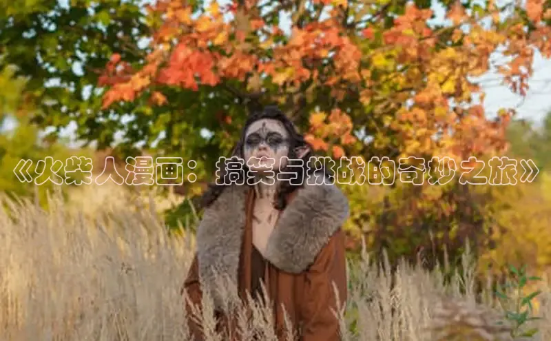 《火柴人漫画：搞笑与挑战的奇妙之旅》